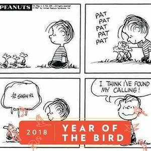 Meet your Posher, Tamara